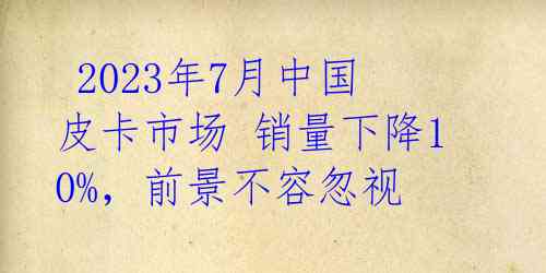  2023年7月中国皮卡市场 销量下降10%，前景不容忽视