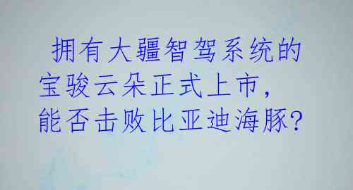  拥有大疆智驾系统的宝骏云朵正式上市, 能否击败比亚迪海豚?