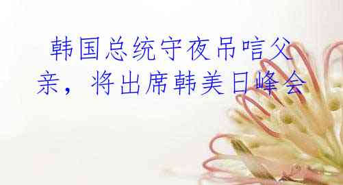  韩国总统守夜吊唁父亲，将出席韩美日峰会