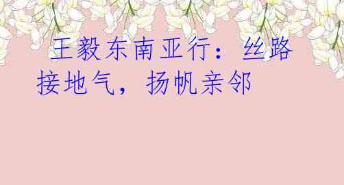  王毅东南亚行：丝路接地气，扬帆亲邻 