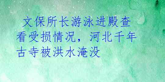  文保所长游泳进殿查看受损情况，河北千年古寺被洪水淹没