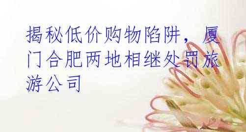 揭秘低价购物陷阱，厦门合肥两地相继处罚旅游公司