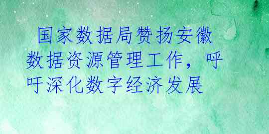  国家数据局赞扬安徽数据资源管理工作，呼吁深化数字经济发展