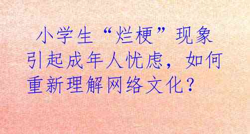  小学生“烂梗”现象引起成年人忧虑，如何重新理解网络文化？