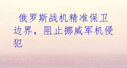  俄罗斯战机精准保卫边界，阻止挪威军机侵犯
