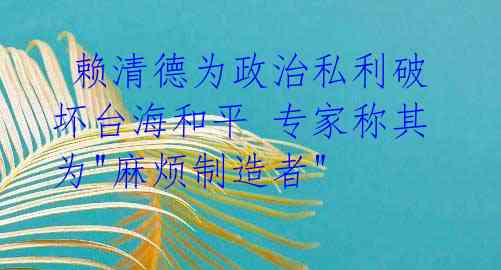  赖清德为政治私利破坏台海和平 专家称其为"麻烦制造者"
