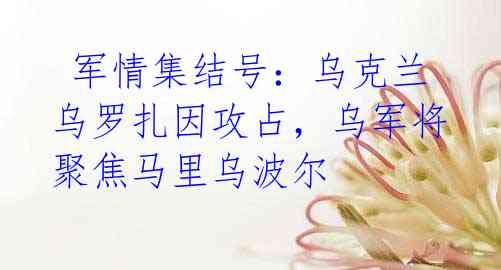  军情集结号：乌克兰乌罗扎因攻占，乌军将聚焦马里乌波尔