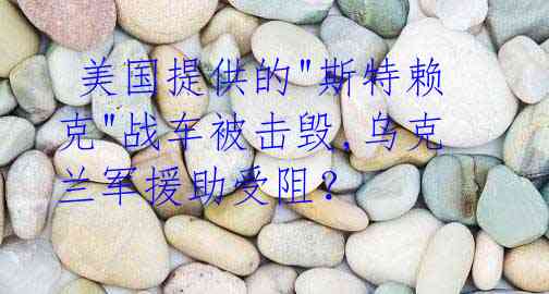 美国提供的"斯特赖克"战车被击毁,乌克兰军援助受阻?