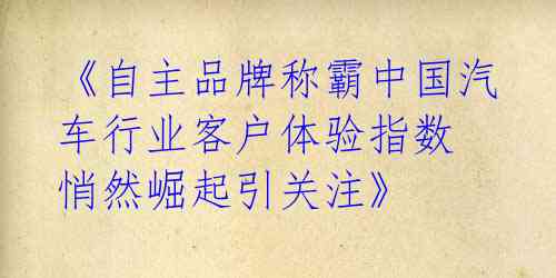 《自主品牌称霸中国汽车行业客户体验指数 悄然崛起引关注》