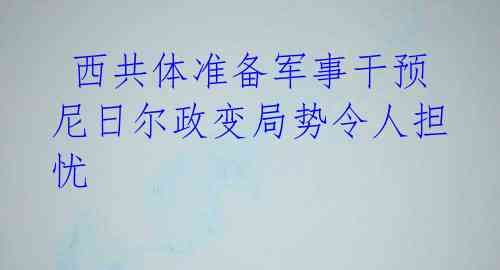  西共体准备军事干预 尼日尔政变局势令人担忧