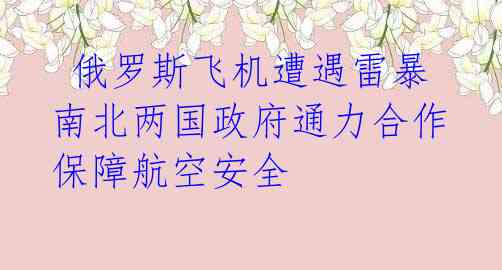  俄罗斯飞机遭遇雷暴 南北两国政府通力合作保障航空安全