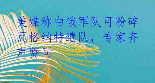 美媒称白俄军队可粉碎瓦格纳特遣队，专家齐声赞同