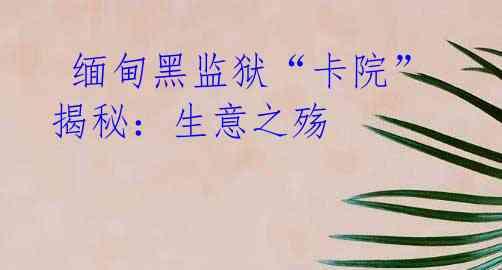  缅甸黑监狱“卡院”揭秘：生意之殇