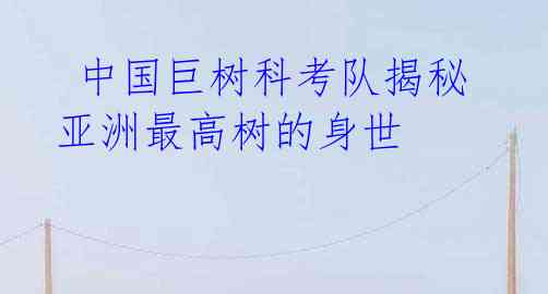  中国巨树科考队揭秘亚洲最高树的身世