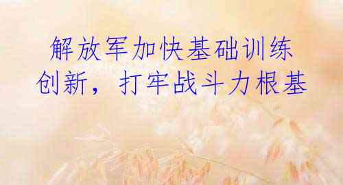  解放军加快基础训练创新，打牢战斗力根基