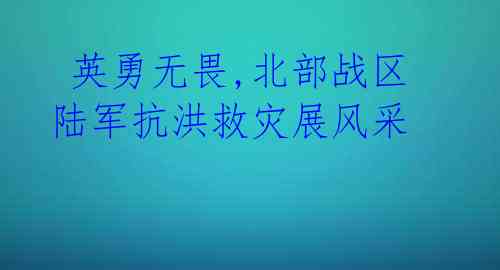  英勇无畏,北部战区陆军抗洪救灾展风采