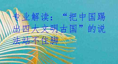 专业解读：“把中国踢出四大文明古国”的说法站不住脚