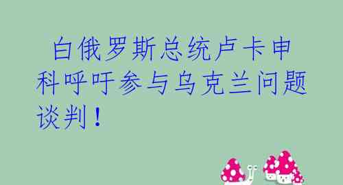  白俄罗斯总统卢卡申科呼吁参与乌克兰问题谈判！