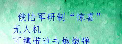 俄陆军研制“惊喜”无人机 可携带迫击炮炮弹