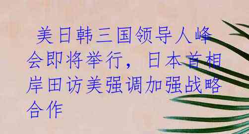  美日韩三国领导人峰会即将举行，日本首相岸田访美强调加强战略合作