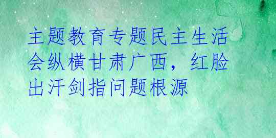 主题教育专题民主生活会纵横甘肃广西，红脸出汗剑指问题根源