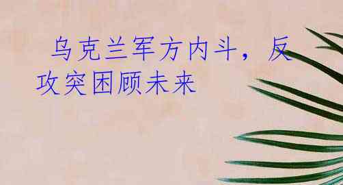  乌克兰军方内斗，反攻突困顾未来