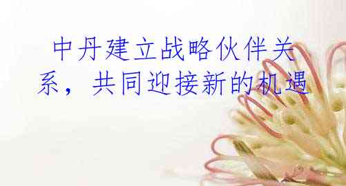  中丹建立战略伙伴关系，共同迎接新的机遇