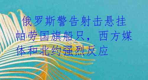  俄罗斯警告射击悬挂帕劳国旗船只，西方媒体和北约强烈反应