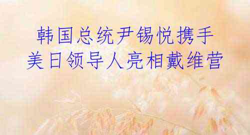  韩国总统尹锡悦携手美日领导人亮相戴维营