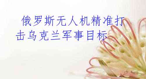  俄罗斯无人机精准打击乌克兰军事目标