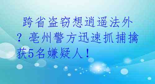  跨省盗窃想逍遥法外？亳州警方迅速抓捕擒获5名嫌疑人！