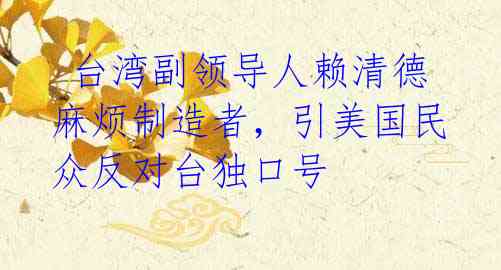  台湾副领导人赖清德麻烦制造者，引美国民众反对台独口号
