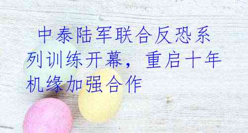  中泰陆军联合反恐系列训练开幕，重启十年机缘加强合作