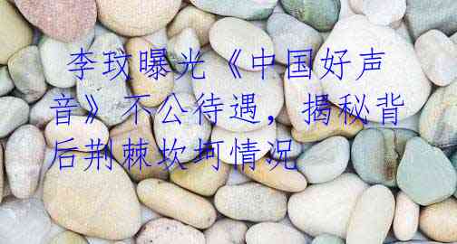  李玟曝光《中国好声音》不公待遇，揭秘背后荆棘坎坷情况