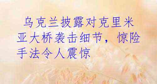  乌克兰披露对克里米亚大桥袭击细节，惊险手法令人震惊