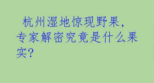  杭州湿地惊现野果,专家解密究竟是什么果实?