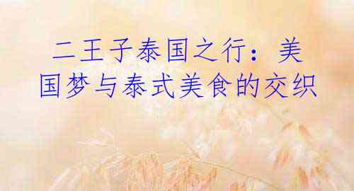  二王子泰国之行：美国梦与泰式美食的交织
