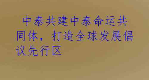  中泰共建中泰命运共同体，打造全球发展倡议先行区