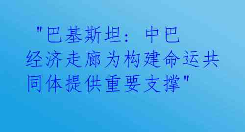  "巴基斯坦: 中巴经济走廊为构建命运共同体提供重要支撑"
