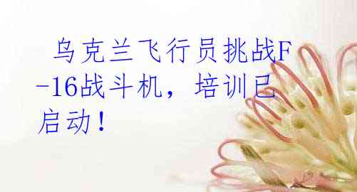  乌克兰飞行员挑战F-16战斗机，培训已启动！