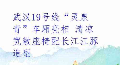 武汉19号线“灵泉青”车厢亮相 清凉宽敞座椅配长江江豚造型