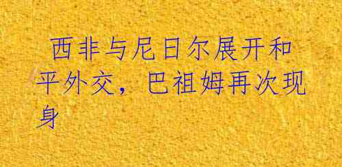  西非与尼日尔展开和平外交，巴祖姆再次现身 