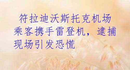  符拉迪沃斯托克机场乘客携手雷登机，逮捕现场引发恐慌