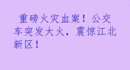  重磅火灾血案！公交车突发大火，震惊江北新区！
