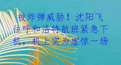  被炸弹威胁！沈阳飞往呼和浩特航班紧急下机，机上实为虚惊一场