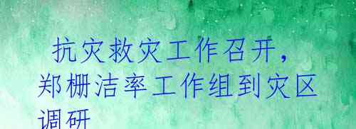  抗灾救灾工作召开，郑栅洁率工作组到灾区调研