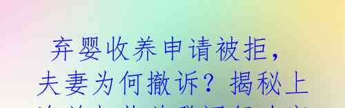  弃婴收养申请被拒，夫妻为何撤诉？揭秘上海首起收养登记行政案件