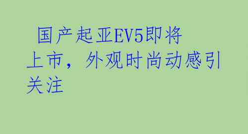 国产起亚EV5即将上市，外观时尚动感引关注