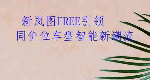  新岚图FREE引领同价位车型智能新潮流