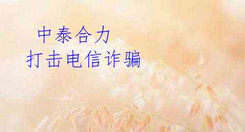  中泰合力 打击电信诈骗